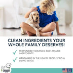 4Legger Organic Dog Shampoo, Cooling Peppermint Tea Tree Dog Shampoo for Skin Conditions and Hot Spot - 16 oz