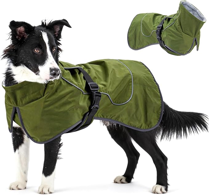 Waterproof Dog Raincoat, Windproof Rain Jacket with Velvet Lining for Windy Weather, Breathable Full-Body Coverage Dry Suit with Reflective Strips for Medium Dog (Green, M)