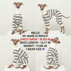 D Doggy Star Italian Greyhound Clothes Soft Stretchy Onesie Refined Stripe Outfit Whippet for Dog Coat (XL,Onsi Black Str)