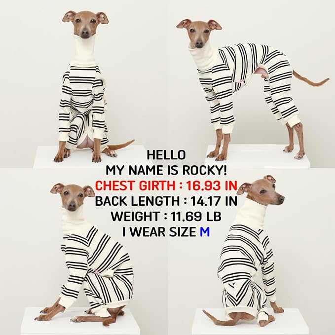 D Doggy Star Italian Greyhound Clothes Soft Stretchy Onesie Refined Stripe Outfit Whippet for Dog Coat (3XL,Onsi Black Str)