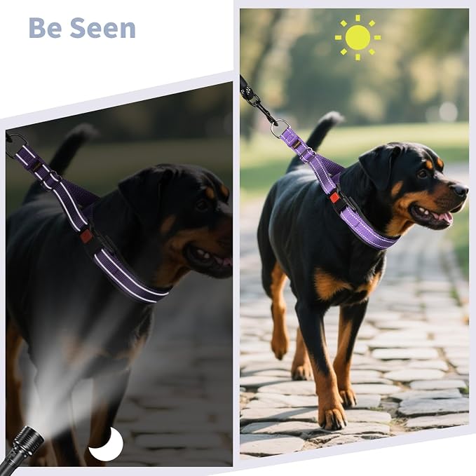 Mayerzon Martingale No Pull Collar for Medium Large Dogs | Purple, L | Patented Anti Pull Dog Collar with Buckle for Walking Training, Reflective Stitching, Neoprene Padding, Adjustable, Sturdy