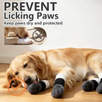 EXPAWLORER Non-Slip Dog Socks for Hardwood Floors to Prevent Licking, Dog Shoes for Hot Pavement Quick Walking, Dog Booties Boots & Paw Protectors with Grippers for Small Medium Large Senior Dogs XS