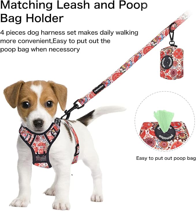 Petmolico No Pull Dog Harness Set with Leash Attachment Easy Control Handle Reflective Harness Vest Small Breed, Puppy Vest and Leash Set with Poop Bag Holder, XS - Boho Floral