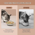 Ceramic Cat Food Bowl Set - 5.6 inch Colorful Cat Feeding Bowls with Non Slip Pads - Wide Shallow Whisker Friendly Plates Cute Dish - Microwave and Dishwasher Safe - 6 Pack - 5.3 oz