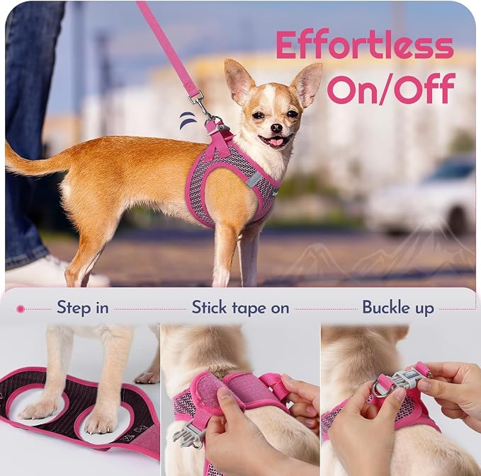 Eagloo Small Dog Harness and Leash Set, Step in Extra Small Puppy Pet Vest | Light, Soft, Breathable Air Mesh, Easy on and off with Hook & Loop, Reflective for Safe Walking, Rose Red, XXS
