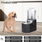 Sfozstra 7L Raised Dog Water Dispenser: Comfortable Drinking | Gravity Water Dispenser/Better Drinking Posture/Medium Dogs/304 Stainless Steel Bowl/Spill Resistant Base/Dishwasher Safe