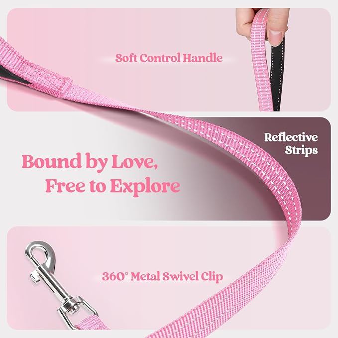 rabbitgoo Dog Harness Medium Sized and Leash Set, Step-in Puppy Pet Vest | Light, Soft, Breathable Air Mesh, Easy on and Remove with Hook & Loop, Secure Reflective for Walking, Light Pink XXL