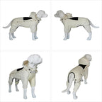 LOVELONGLONG Waterproof Dog Raincoat with Removable Hood – Outdoor Full Body Dog Jacket, Windproof Snowproof Shell Suit – All Season Pet Rain Gear Ivory XL