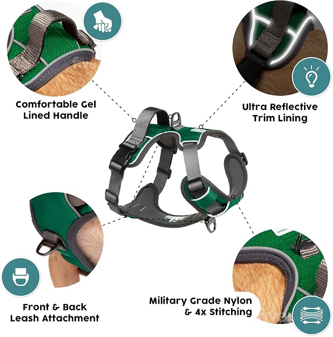 Embark Adventure Small Dog Harness – No-Pull, Reflective Trim, Military-Grade Nylon, Front Clip with Gel-Lined Handle