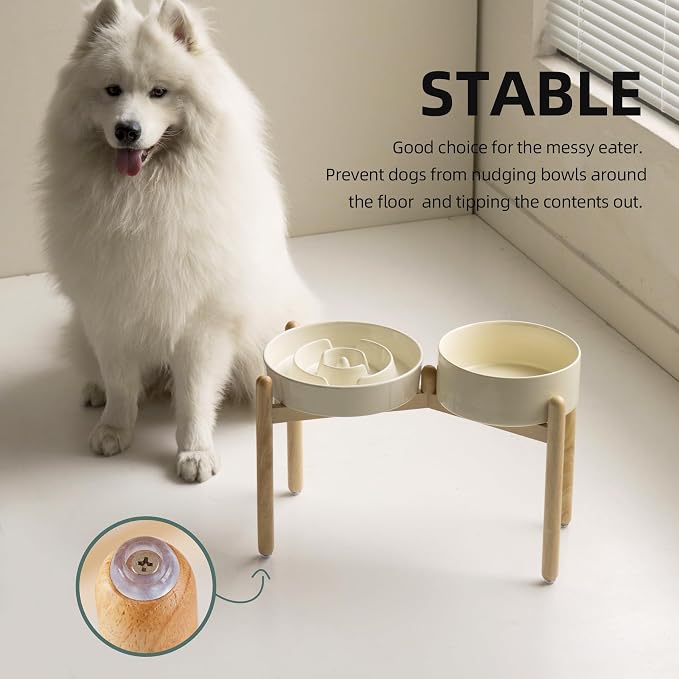 Havniva Elevated Slow Feeder Dog Bowls, Ceramic Dog Bowl Slow Feeder Set | 3.2 Cups Raised Slow Feeding Bowl for Large Breed, 8.2” Dog Water Bowl with Wooden Stand, Puzzle Dog Slow Feeder, Non-slip