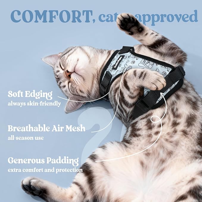 rabbitgoo Cat Harness and Leash Set, Escape Proof Vest, Doodle Gray | Soft Breathable Mesh, Easy Adjustable Fit, Snap Buckles, Sturdy Clip, Reflective Strips, for Kittens & Small Cats Walks, Xxs