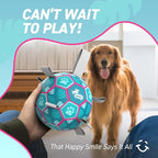 QDAN Dog Toys Soccer Ball with Straps, Pool Dog Water Toy, Outside Ball | 6 Inch Herding Ball for Small Dogs, Puppy Toy, Outdoor Toys Balls for Dogs to Keep Them Busy, Dog Birthday Gift, Lake Blue