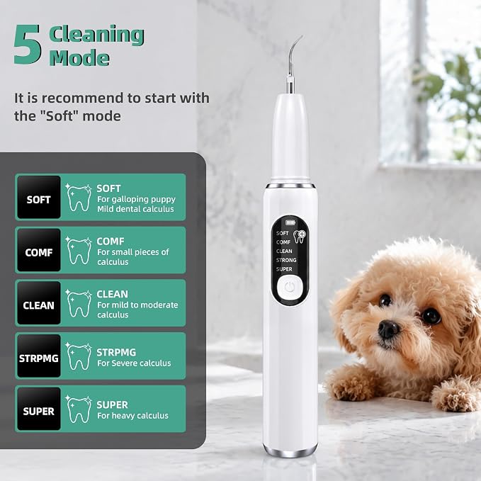 Dog Plaque Remover for Teeth, Pet Ultrasonic Tooth Cleaner Kit, 5 Adjustable Modes Dog Teeth Cleaning Kit with LED Light, Dental Tools, Tartar and Stain Remover for Dogs and Cats (White)