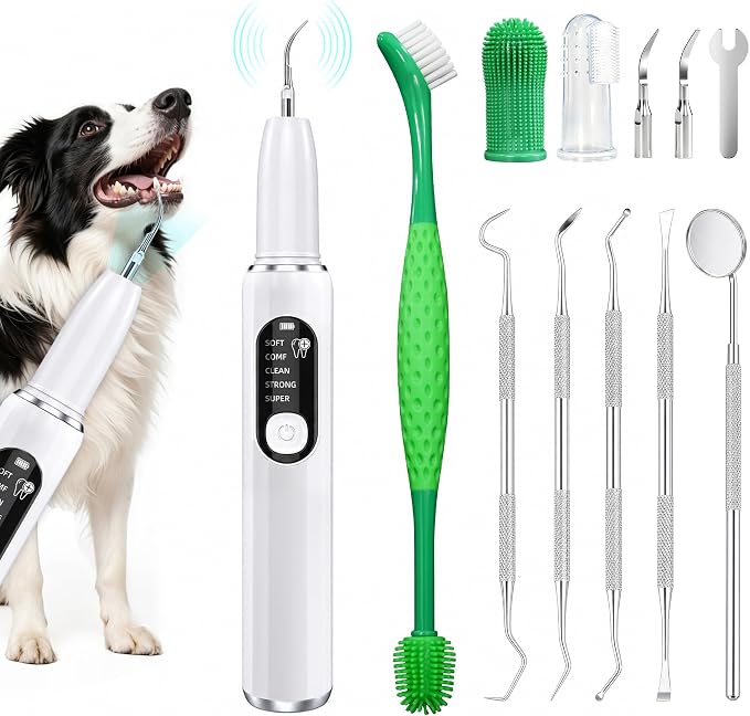 Dog Plaque Remover for Teeth, Pet Ultrasonic Tooth Cleaner Kit, 5 Adjustable Modes Dog Teeth Cleaning Kit with LED Light, Dental Tools, Tartar and Stain Remover for Dogs and Cats (White)