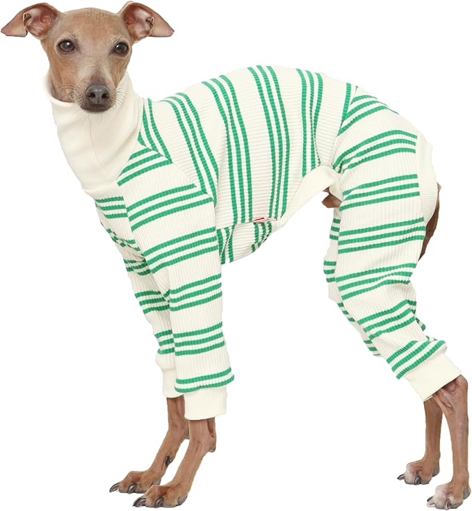 D Doggy Star Italian Greyhound Clothes Soft Stretchy Onesie Refined Stripe Outfit Whippet for Dog Coat (L,Onsi Green Str)