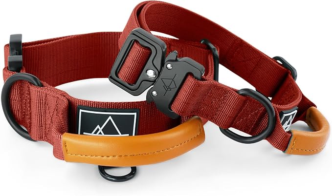 MADE TO ROAM Control Dog Collar | Leather Handle & Heavy Duty Metal Buckle | Premium adjustable collar with vegan leather handle. Fits medium to large dogs. 15 colors. Matching leash & harness