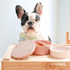 Dog Travel Bowls - Set of 2 Portable Pet Food & Water Dishes with Lid & Handle - Each Nesting Container Includes a Non-Slip Silicone Base - Microwave & Dishwasher Safe - BPA & Toxin-Free