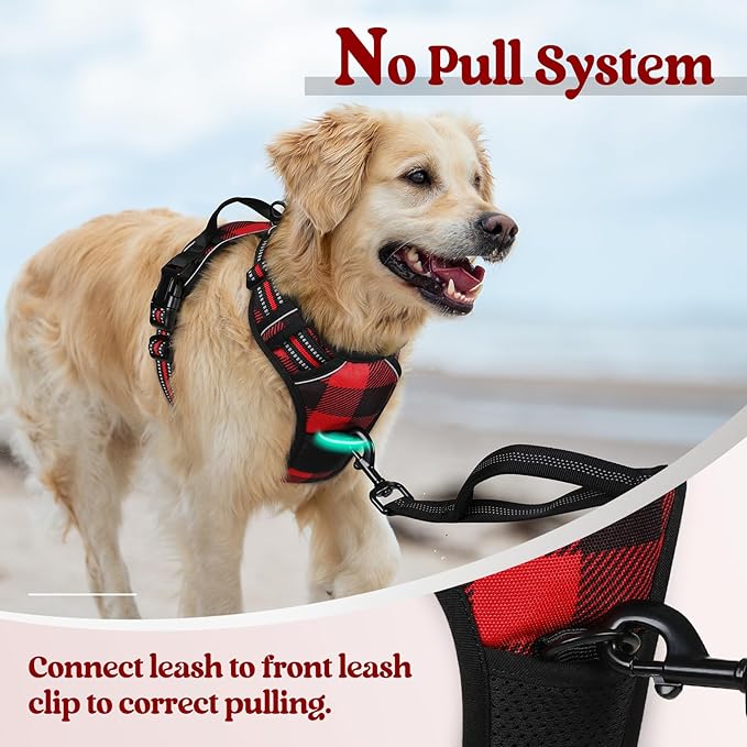 rabbitgoo Dog Harness, No Pull for Small Dogs with 2 Leash Clips, Pet Vest | No Choke with Handle, Adjustable Soft Padded, Reflective, Easy Control for Walking, Red Plaid, Small