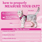 rabbitgoo Cat Harness and Leash Set, Escape Proof Vest, Rose Red | Soft Breathable Mesh, Easy Adjustable Fit, Snap Buckles, Sturdy Clip, Reflective Strips, for Small & Average Cats Walks, Xs