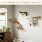 Pecute 2-in-1 Cat Window Perch & Wall Shelves, Cat Hammock Window 16"x10" | Solid Wood Frame, Strong Suction Cups, Washable Cover Mat, Window Bed for Kitten, Indoor Cats, Window Seat for Birds Watching