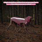 Pink Dog Raincoat with Reflective Strip Hoodie, Waterproof Poncho，S | Reflective Safety Trim, Waterproof & Breathable, Adjustable Hood, Leash-Friendly Access Hole, Easy On & Off Design
