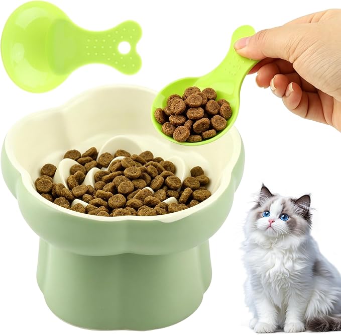 Ceramic Slow Feeder Cat Bowl with 2 Cat Food Scoop, Choke-Proof & Anti-Tip for Cats & Small Dogs, for Dry Wet Food Easy to Clean