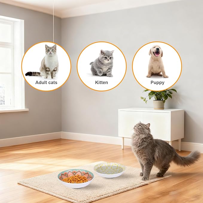 Ceramic Cat Food Bowls, 6 Pack 5.7-in Non-Slip Cat Dishes for Food, Water | Food-Safe Ceramic, Shallow Whisker-Friendly Plates For Wet Meals, Kibble, Multi-Cat Homes, Dishwasher And Microwave Safe