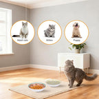 Ceramic Cat Food Bowls, 6 Pack 5.7-in Non-Slip Cat Dishes for Food, Water | Food-Safe Ceramic, Shallow Whisker-Friendly Plates For Wet Meals, Kibble, Multi-Cat Homes, Dishwasher And Microwave Safe