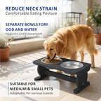 Raised Dog Bowl Stand for Small Sized Breed, Feeding Station with 21 oz 2 Stainless Steel Bowls & Licking Plate,Dog Food Bowl Black