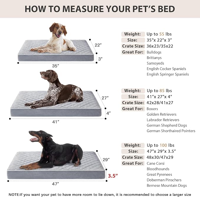 WNPETHOME Orthopedic XXL Dog Beds Large Sized Senior Dog Bed for Comfy Sleeping, Waterproof Extra Large Dogs Bed with Removable Washable Cover, Multi-Needle Quilting Dogs Crate Bed for Relax