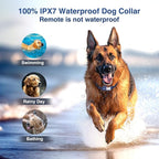 Dog Training Collar 2 Dogs (20-140 Lbs) - 4200FT Dog Training Collar with Remote, 4 Powerful Modes with 119 Training Levels Rechargeable Electric Dog Collar for Large Dogs