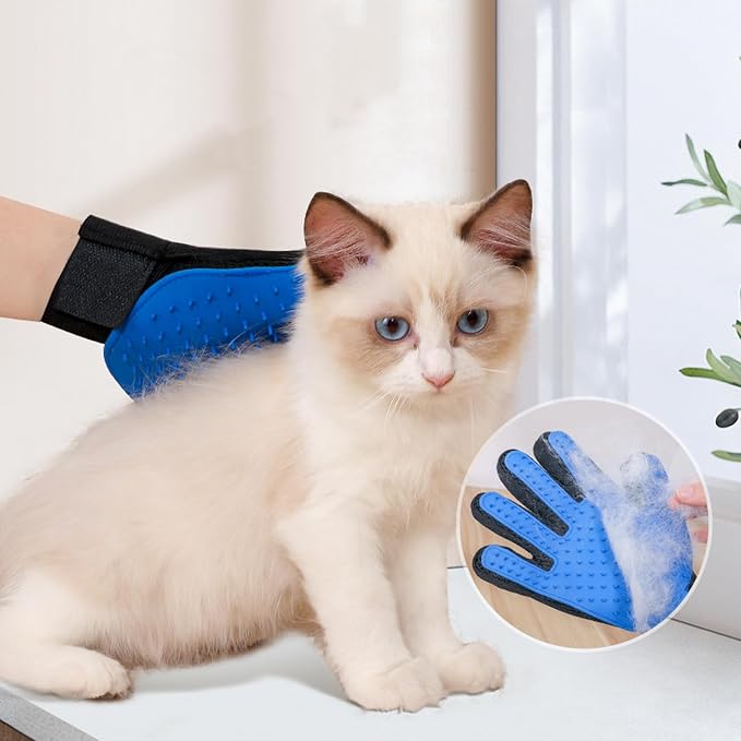 Kitten Starter Kit - 15 Piece Cat Essentials Set Includes Litter Box, Toys, Collars, Scratch Pad, Nail File, Automatic Feed Bowls, Grooming Gloves