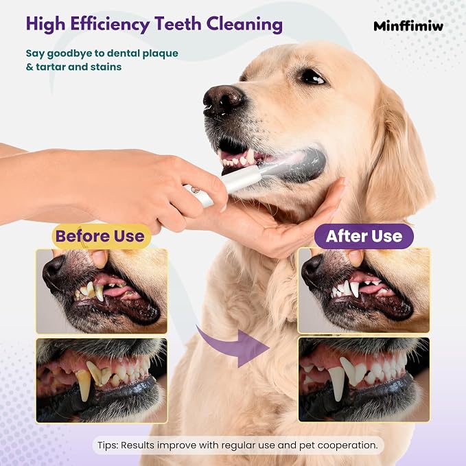 Dog Plaque Tartar Remover for Teeth - Dog Teeth Cleaning Kit, Electric Remover with LED Light, 5 Adjustable Modes, Safe Pet Tooth Cleaner, Dental Care Tool for Dogs