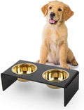 DBL2000B Keaton 5" Small/Medium Modern Lucite Rectangular Elevated Pet Feeder with 20oz 2-Stainless Steel Bowls, Black/Gold