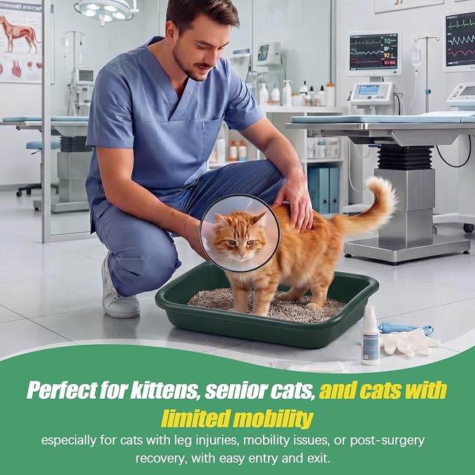 Uiifan 3 Pcs Extra Large Low Entry Cat Litter Box for Senior Kitty Pet Open Top Litter Box for Senior Kitten Handicap Disabled Older Elderly Cats, Easy to Clean(Dark Green,16.9 x 12 x 3.15 Inches)