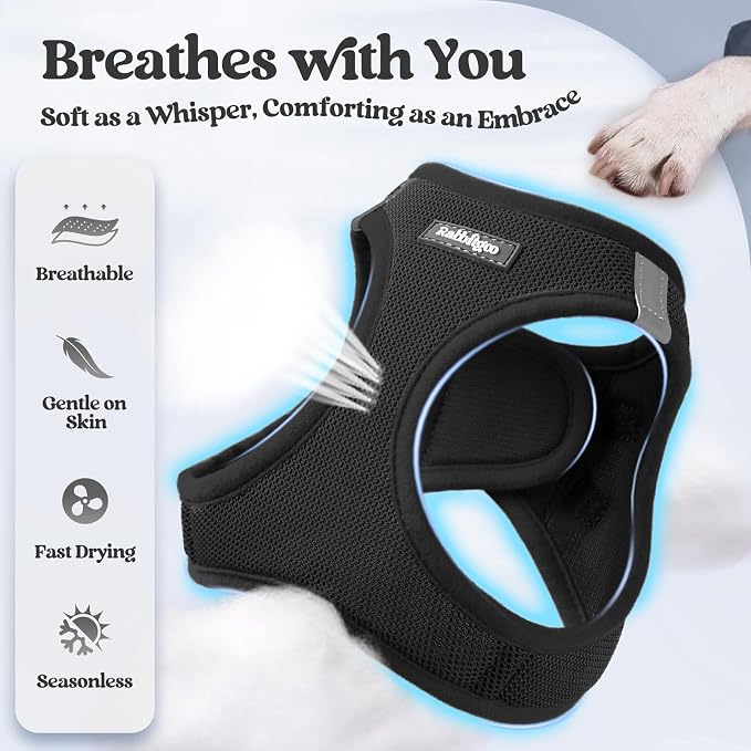 rabbitgoo Dog Harness Small Sized and Leash Set, Step-in Puppy Pet Vest | Light, Soft, Breathable Air Mesh, Easy on and Remove with Hook & Loop, Secure Reflective for Walking, Black XXXS