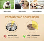 Havniva Elevated Slow Feeder Dog Bowls, Ceramic Dog Bowl Slow Feeder Set | 0.9 Cups Raised Slow Feeding Bowl for Small Breed, 6.1” Dog Water Bowl with Wooden Stand, Puzzle Dog Slow Feeder, Non-slip