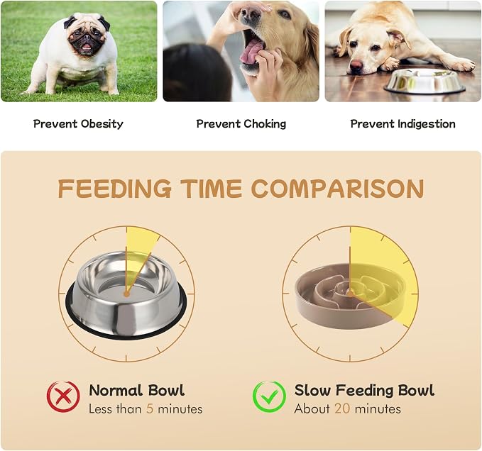 Havniva Elevated Slow Feeder Dog Bowls, Ceramic Dog Bowl Slow Feeder Set | 0.9 Cups Raised Slow Feeding Bowl for Small Breed, 6.1” Dog Water Bowl with Wooden Stand, Puzzle Dog Slow Feeder, Non-slip