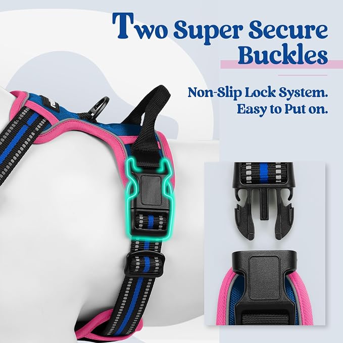 rabbitgoo Dog Harness, No Pull for Small Dogs with 2 Leash Clips, Pet Vest | No Choke with Handle, Adjustable Soft Padded, Reflective, Easy Control for Walking, Blue & Hot Pink, Small