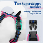 rabbitgoo Dog Harness, No Pull for Small Dogs with 2 Leash Clips, Pet Vest | No Choke with Handle, Adjustable Soft Padded, Reflective, Easy Control for Walking, Blue & Hot Pink, Small