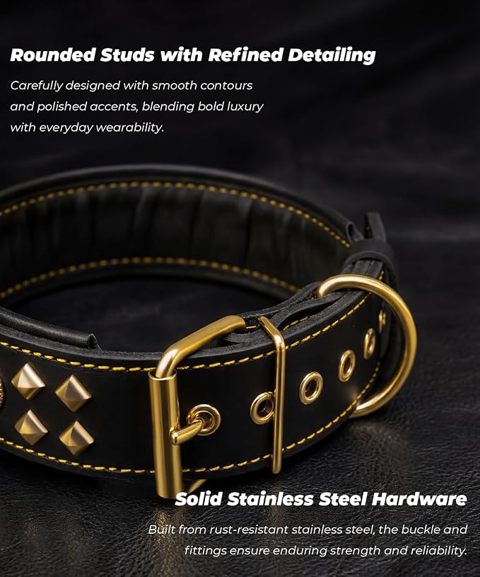 Genuine Leather Dog Collar 2.2 in Wide for Large Dogs Heavy Duty, BK-GD-S | Handcrafted,Stainless Steel Buckle and Alloy Studded,Soft Padded,Fashionable Daily Wear for Large Giant Breed,16.5-20.5 in