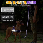 SlowTon No Pull Dog Harness - Heavy Duty Dog Harness and Leash Set for Medium Large Dogs, Reflective Tactical Harness with Soft Padded and Front Clip for Easy Walk and Training (PU, M)