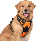 rabbitgoo Dog Harness, No Pull for Large Dogs with 2 Leash Clips, Pet Vest | No Choke with Handle, Adjustable Soft Padded, Reflective, Easy Control for Walking, Orange, X-Large