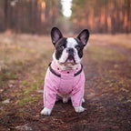 QBLEEV Dog Raincoat with Built-in Harness, Waterproof Rain Jacket, Pink, S | Waterproof & windproof | built-in harness | easy on and off with dual closure | reflective safety strips | detachable hood