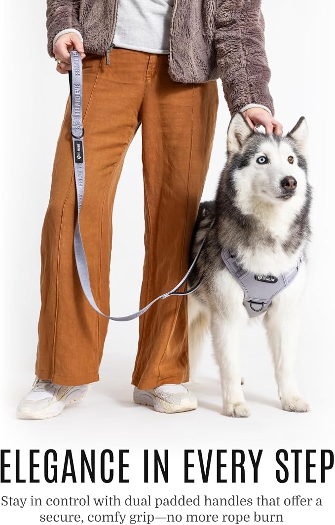 Fei & Eve Classic Dog Leash | Soft-Touch 210D Nylon, Dual Padded Handles, Traffic Handle, Tangle-Free, Heavy Duty, Twilight Gray, 4FT