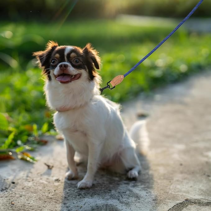Mile High Life Thin Small Dog Leash with Genuine Leather Connection | Rope Leash, Heavy Duty 360° Swivel Metal Clasp, for Small Medium & Large Dogs (Blue, 48 Inch)