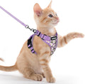 rabbitgoo Cat Harness and Leash Set, Escape Proof Vest, Purr-ple Daisy | Soft Breathable Mesh, Easy Adjustable Fit, Snap Buckles, Sturdy Clip, Reflective Strips, for Kittens & Small Cats Walks, Xxs
