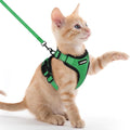 rabbitgoo Cat Harness and Leash Set, Escape Proof Vest, Grass Green | Soft Breathable Mesh, Easy Adjustable Fit, Snap Buckles, Sturdy Clip, Reflective Strips, for Kittens & Small Cats Walks, Xxs