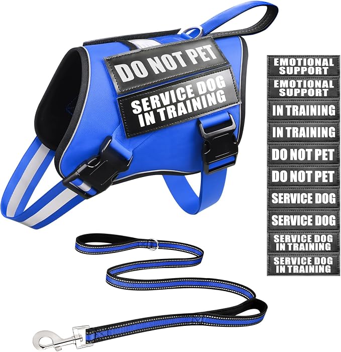Service Dog Vest Harness and Leash Set+10 Patches,Easy Walk Blue S | No Pull&Adjustable Reflective Dog Harness Small Sized,Dog Leash with 2 Soft Padded Handles,for Training Hiking Walking