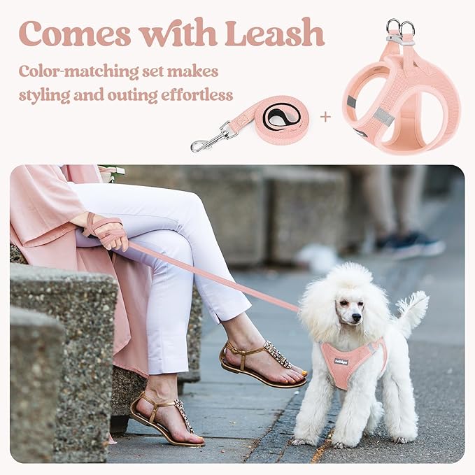 rabbitgoo Dog Harness Medium Sized and Leash Set, Step-in Puppy Pet Vest | Light, Soft, Breathable Air Mesh, Easy on and Remove with Hook & Loop, Secure Reflective for Walking, Pink XL